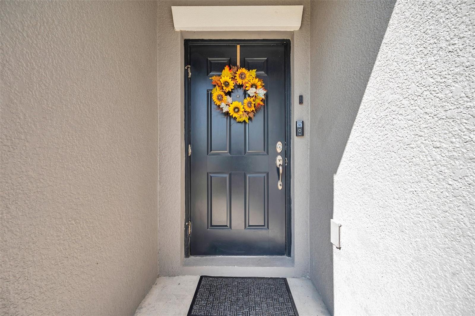 4201 GLOBE THISTLE DR, TAMPA, FL, 33619