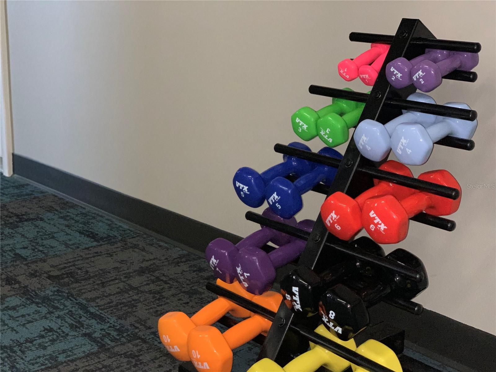 12037 BOYNTON LN, NEW PORT RICHEY, FL, 34654