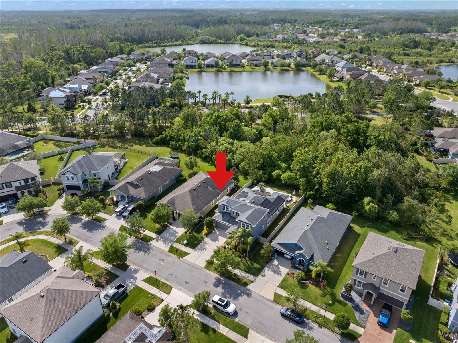 1843 ODIORNE POINT LN, WESLEY CHAPEL, FL, 33543