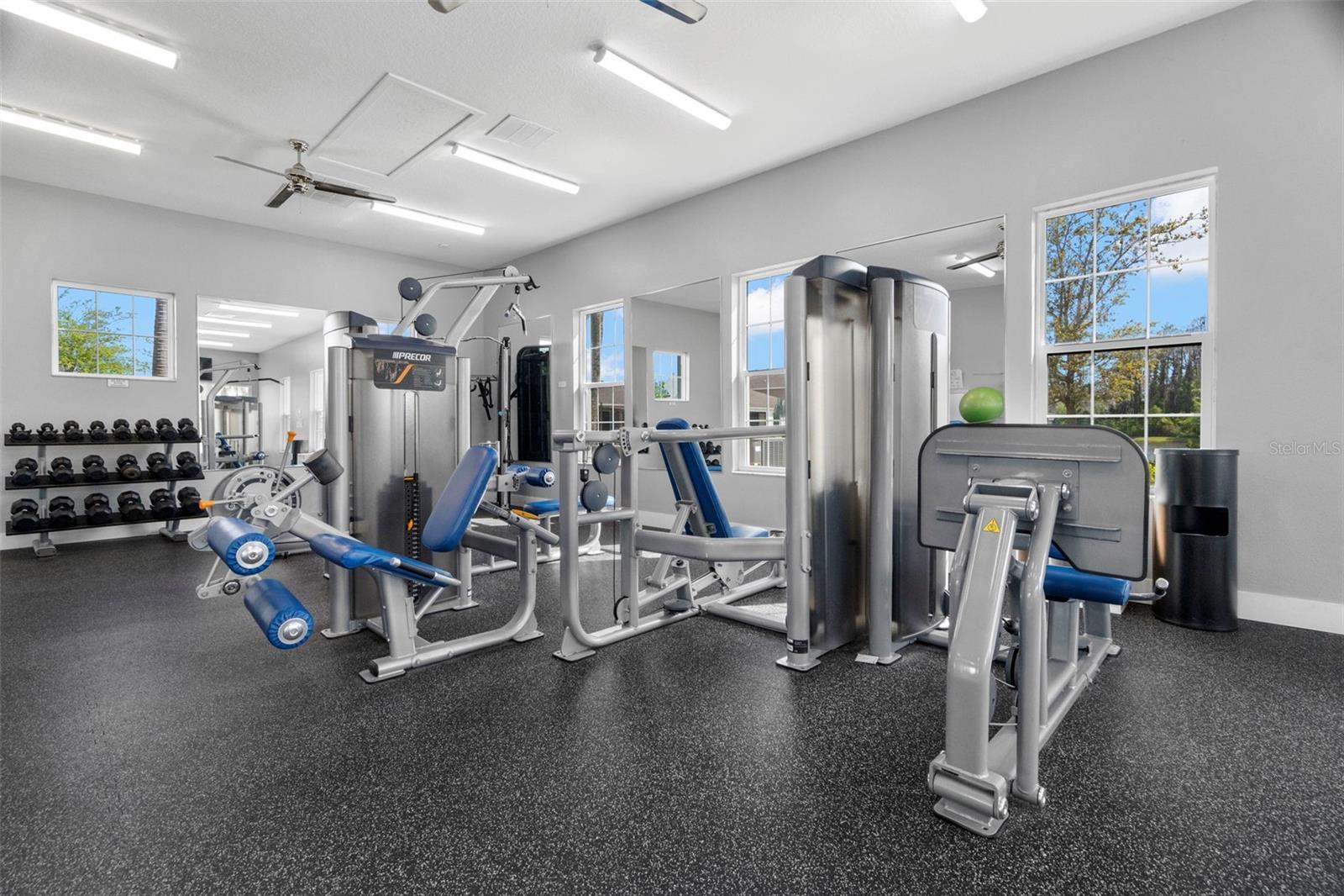 1843 ODIORNE POINT LN, WESLEY CHAPEL, FL, 33543