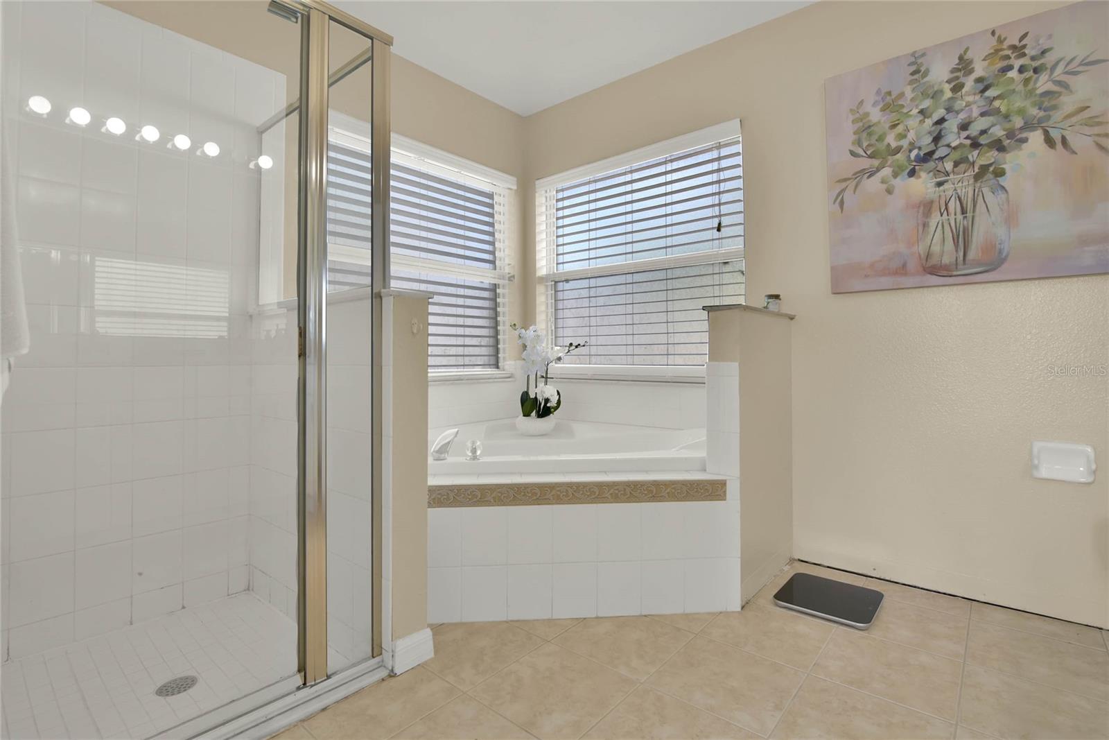 1313 LAKE IDAMERE BLVD, TAVARES, FL, 32778