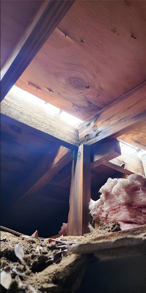 236 HUBBELL ST, EDGEWATER, FL, 32132