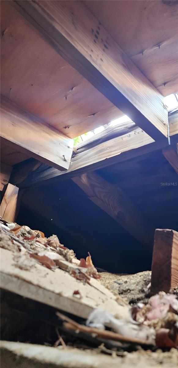 236 HUBBELL ST, EDGEWATER, FL, 32132