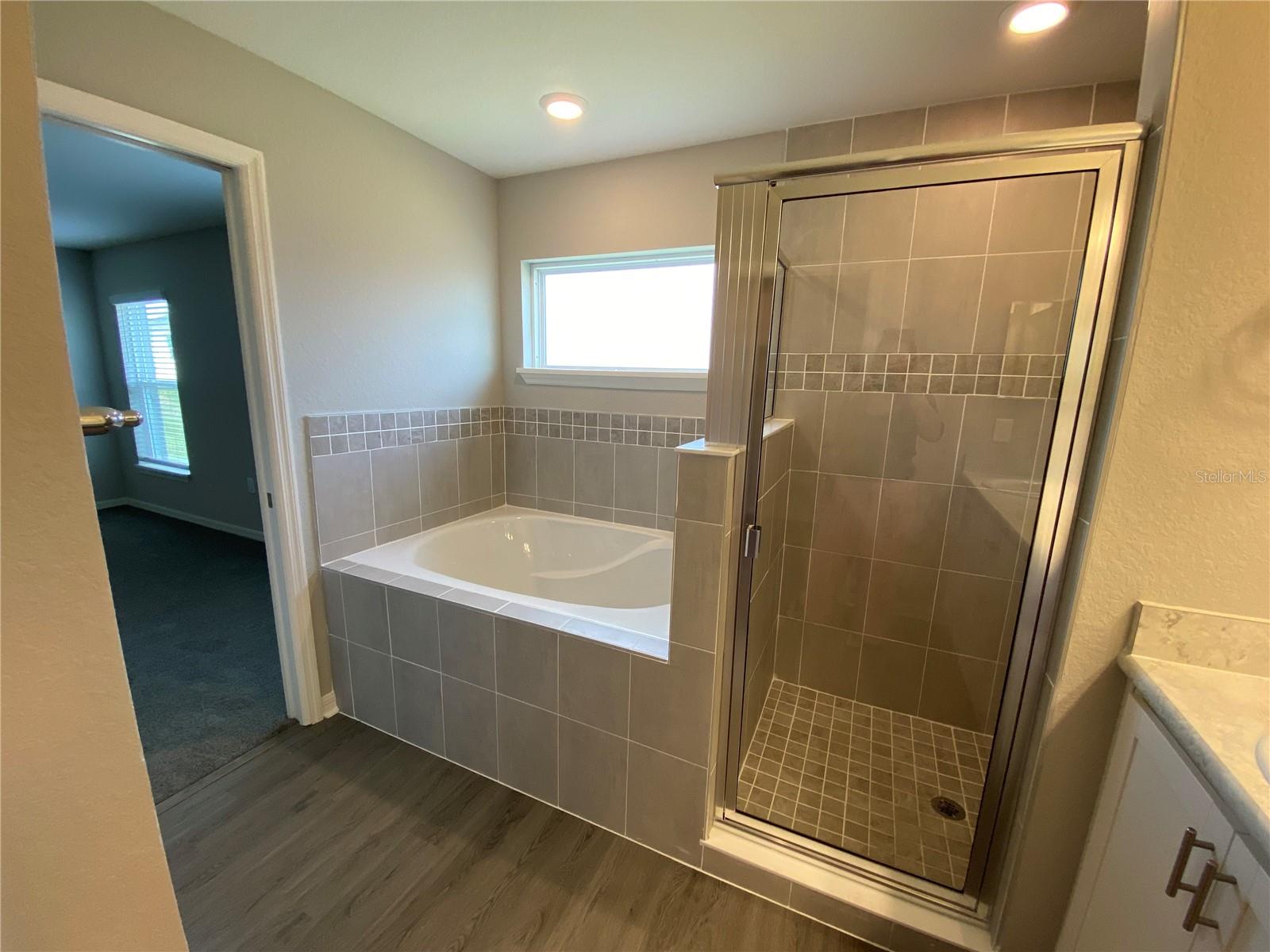 1304 MOUNTAIN FLOWER LN, DAVENPORT, FL, 33837