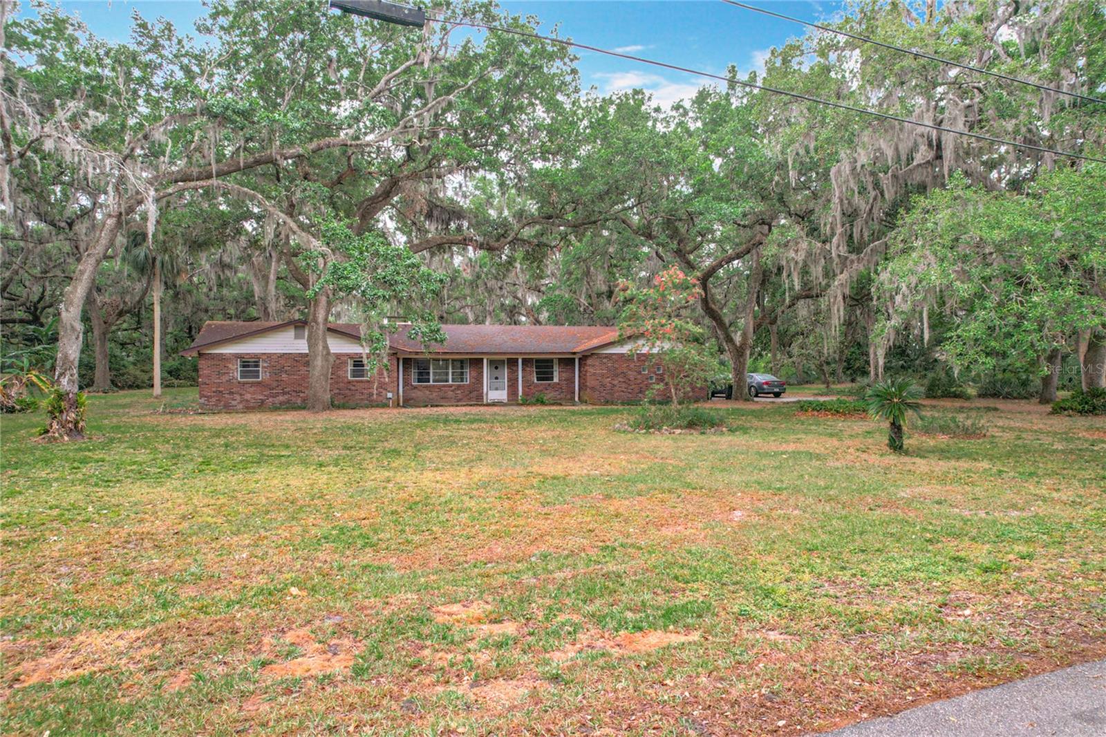 3950 EDDIE DR, MULBERRY, FL, 33860