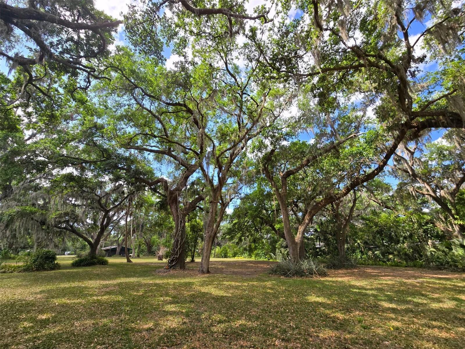 3950 EDDIE DR, MULBERRY, FL, 33860