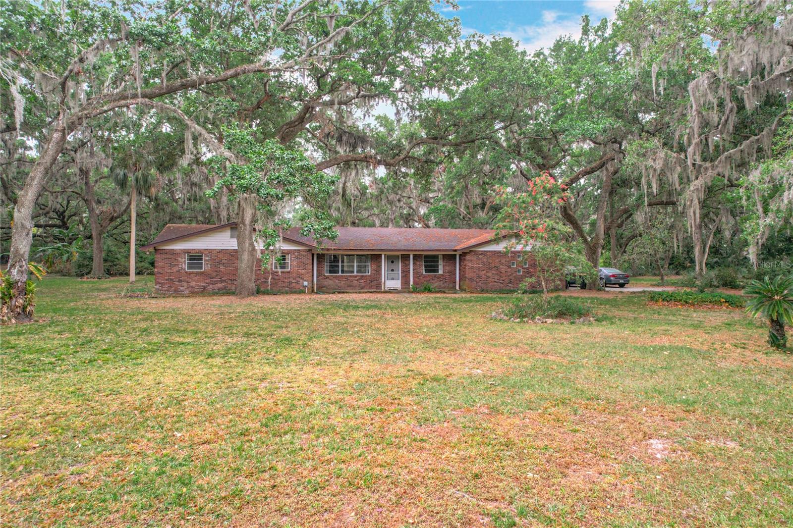 3950 EDDIE DR, MULBERRY, FL, 33860