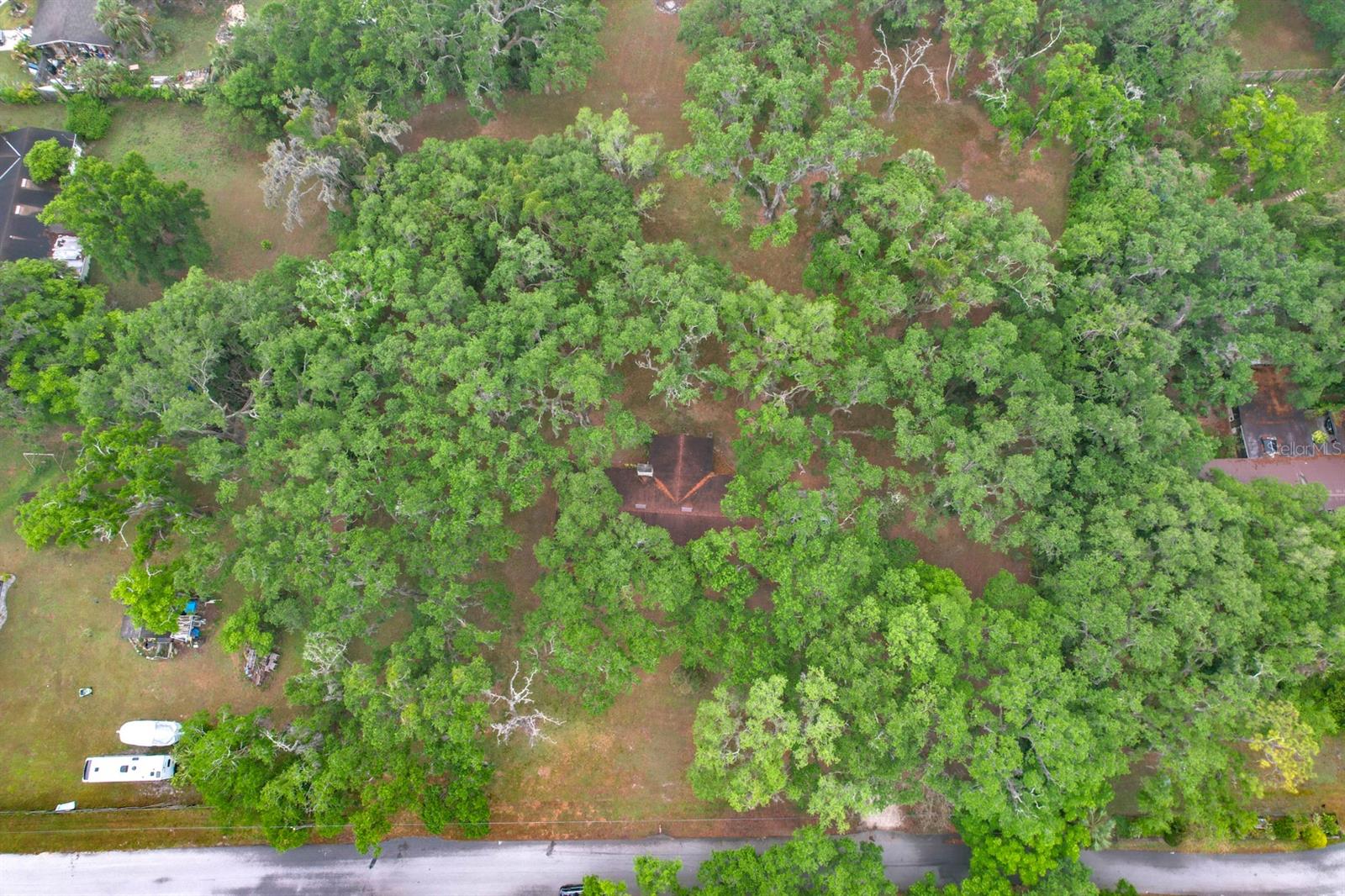 3950 EDDIE DR, MULBERRY, FL, 33860