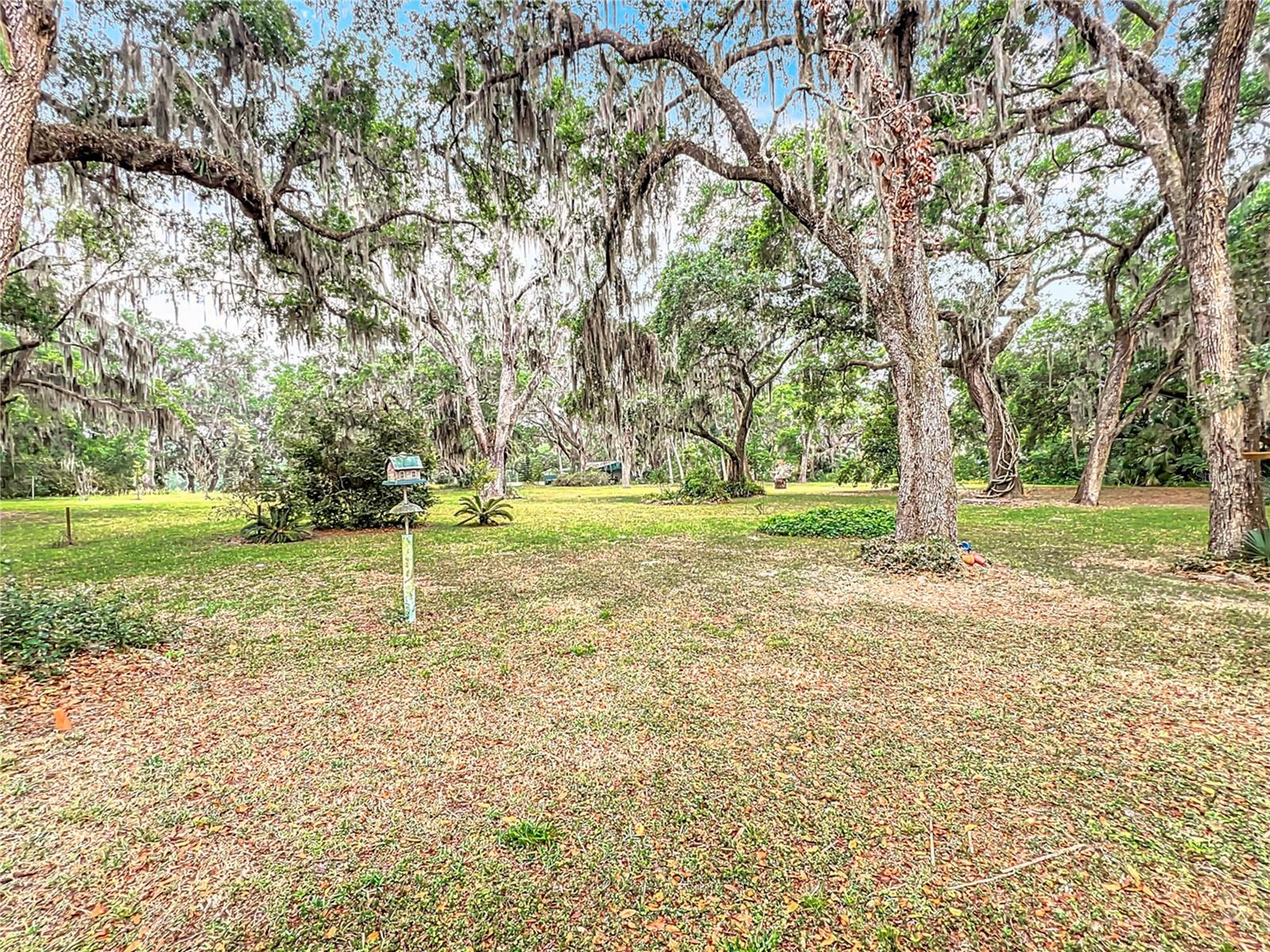 3950 EDDIE DR, MULBERRY, FL, 33860