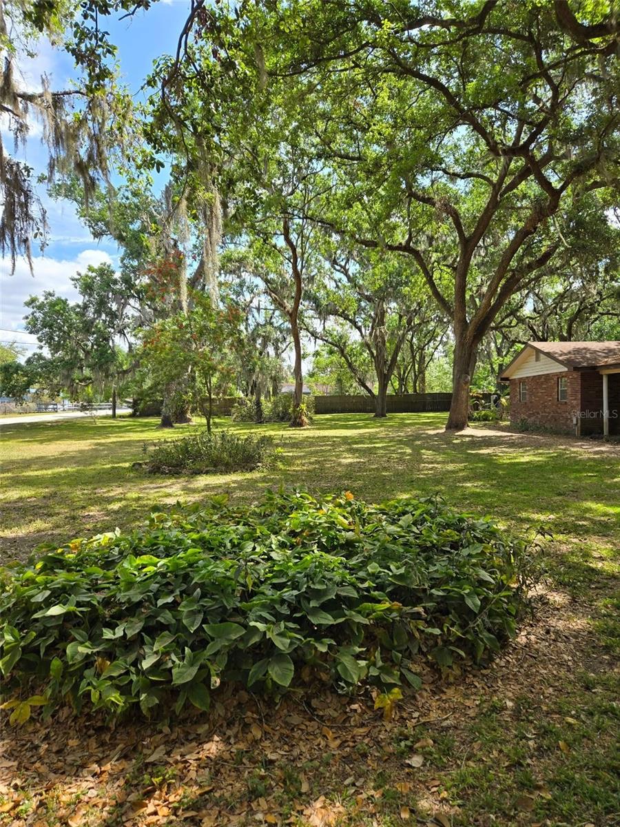 3950 EDDIE DR, MULBERRY, FL, 33860