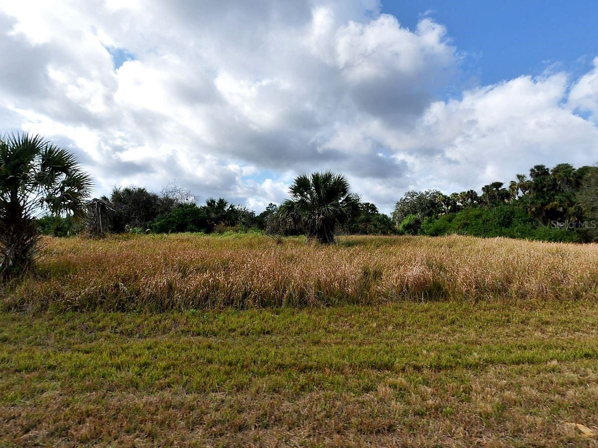 Lot 1 BRANT TER, NORTH PORT, FL, 34288