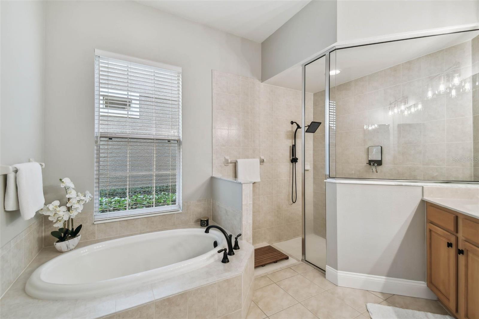 11531 MERIDIAN POINT DR, TAMPA, FL, 33626