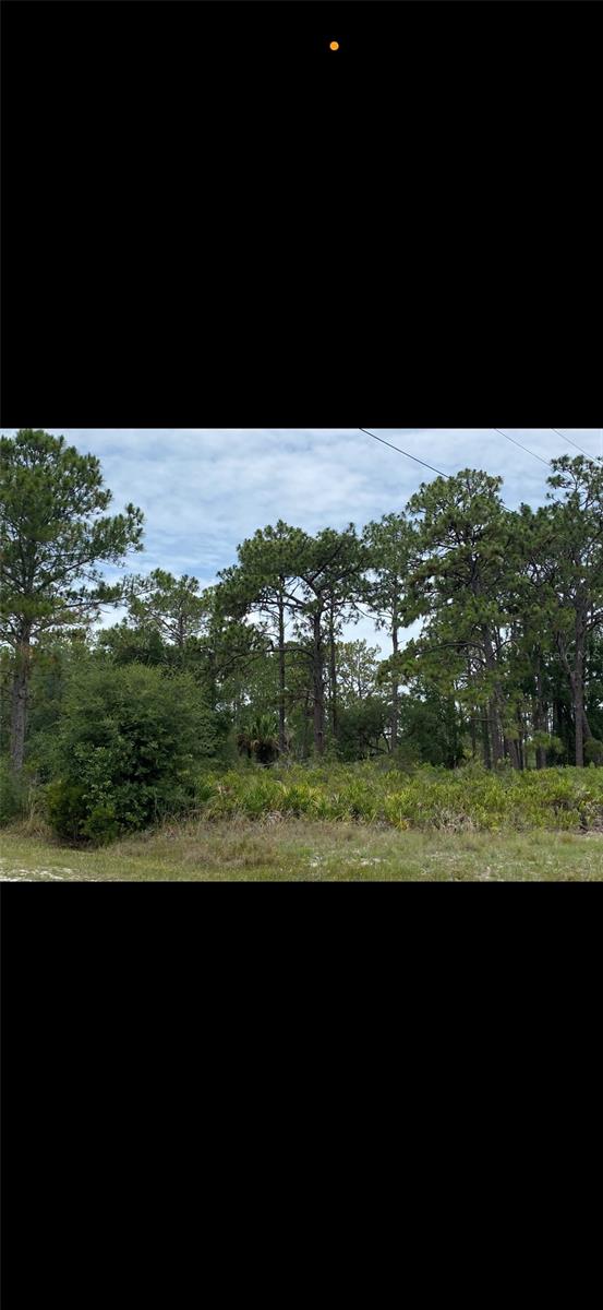 602 BOUGAINVILLE DR, INDIAN LAKE ESTATES, FL, 33855