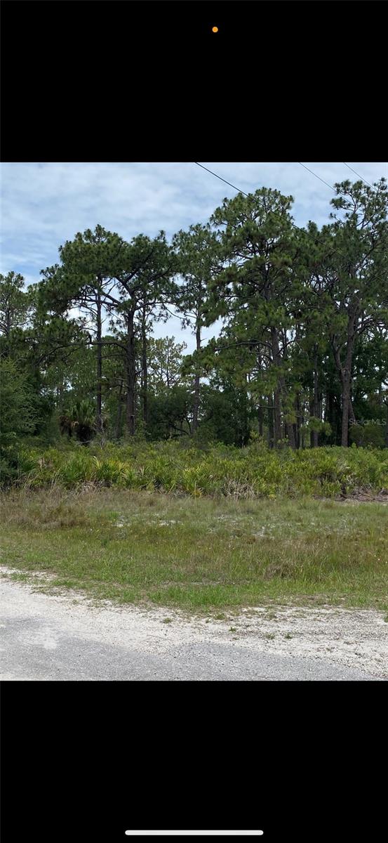 602 BOUGAINVILLE DR, INDIAN LAKE ESTATES, FL, 33855