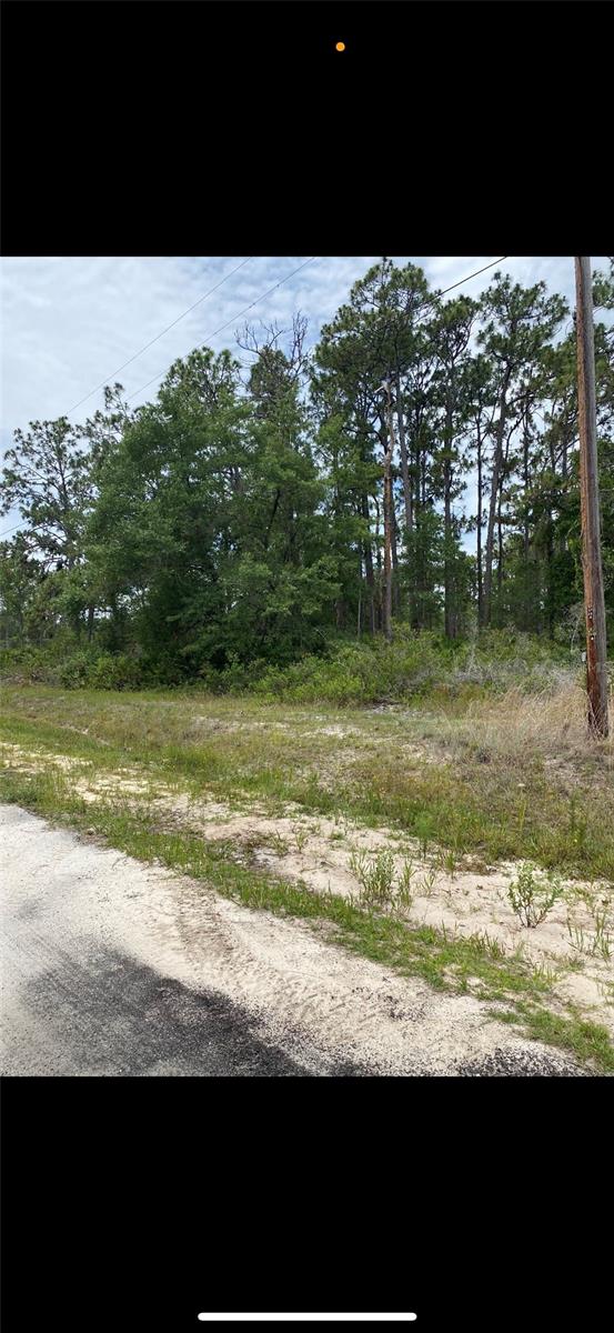 602 BOUGAINVILLE DR, INDIAN LAKE ESTATES, FL, 33855