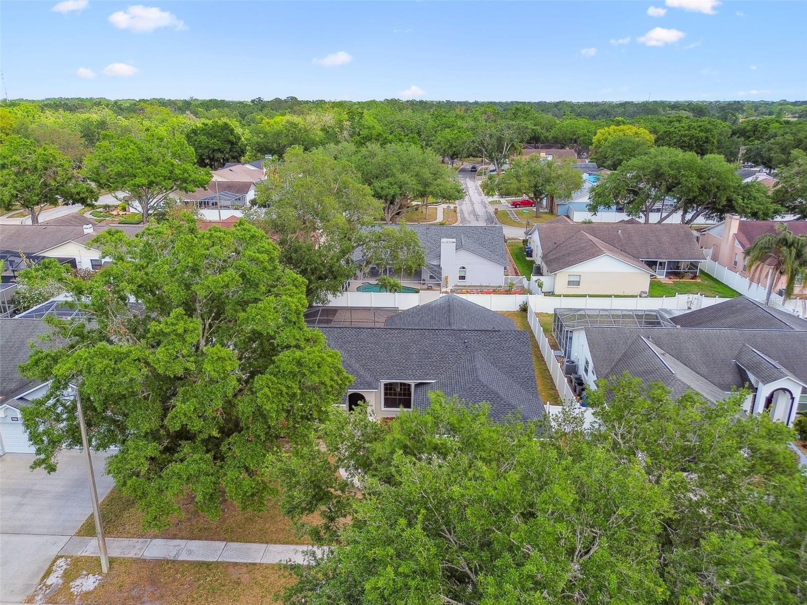 930 BALSAMINA DR, BRANDON, FL, 33510