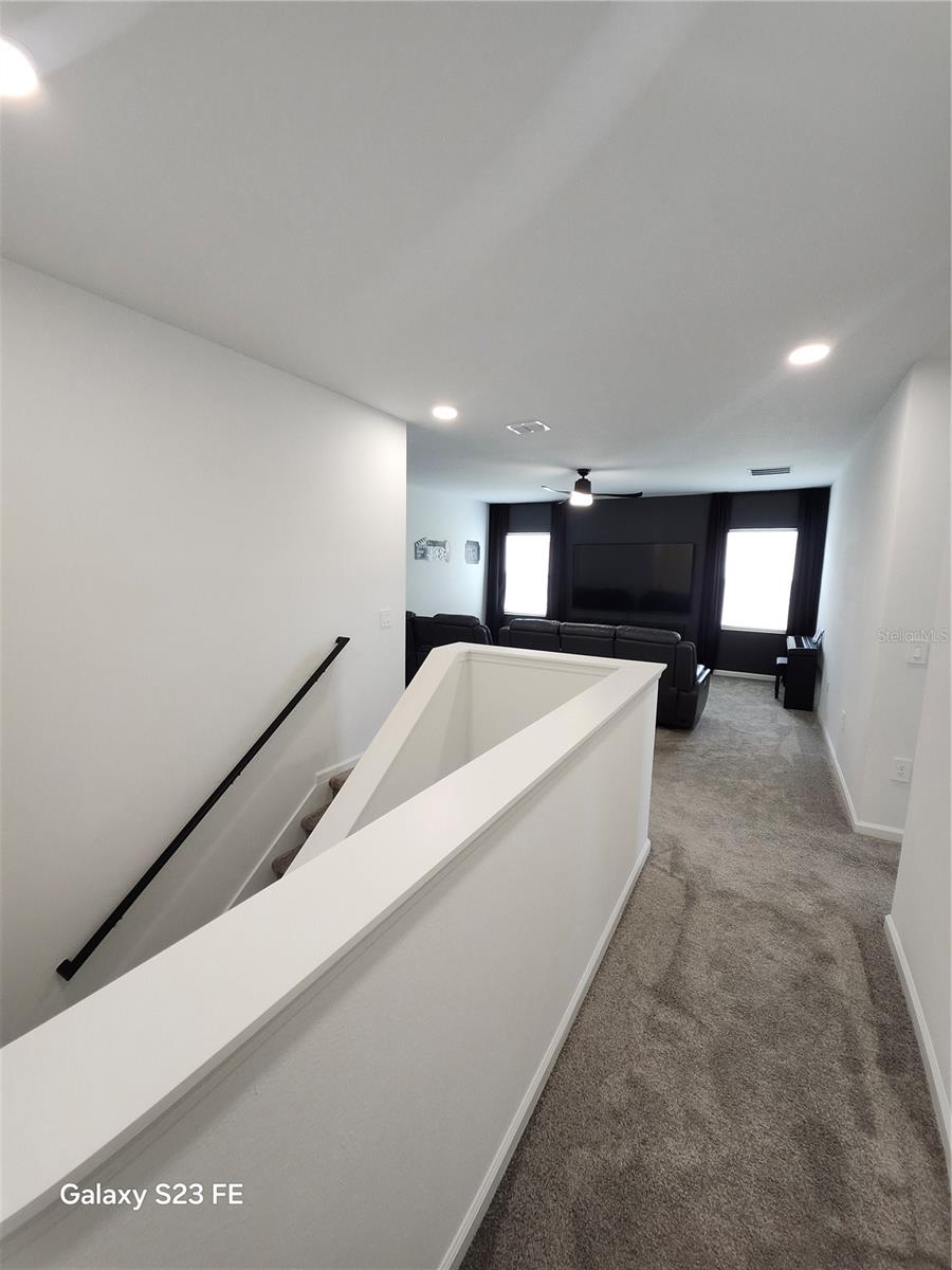 1803 PERCH HAMMOCK LOOP, GROVELAND, FL, 34736