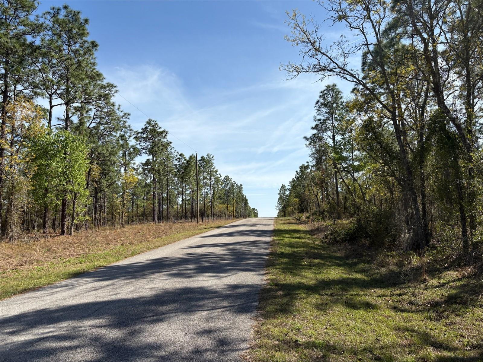 SE 138TH AVE, DUNNELLON, FL, 34431