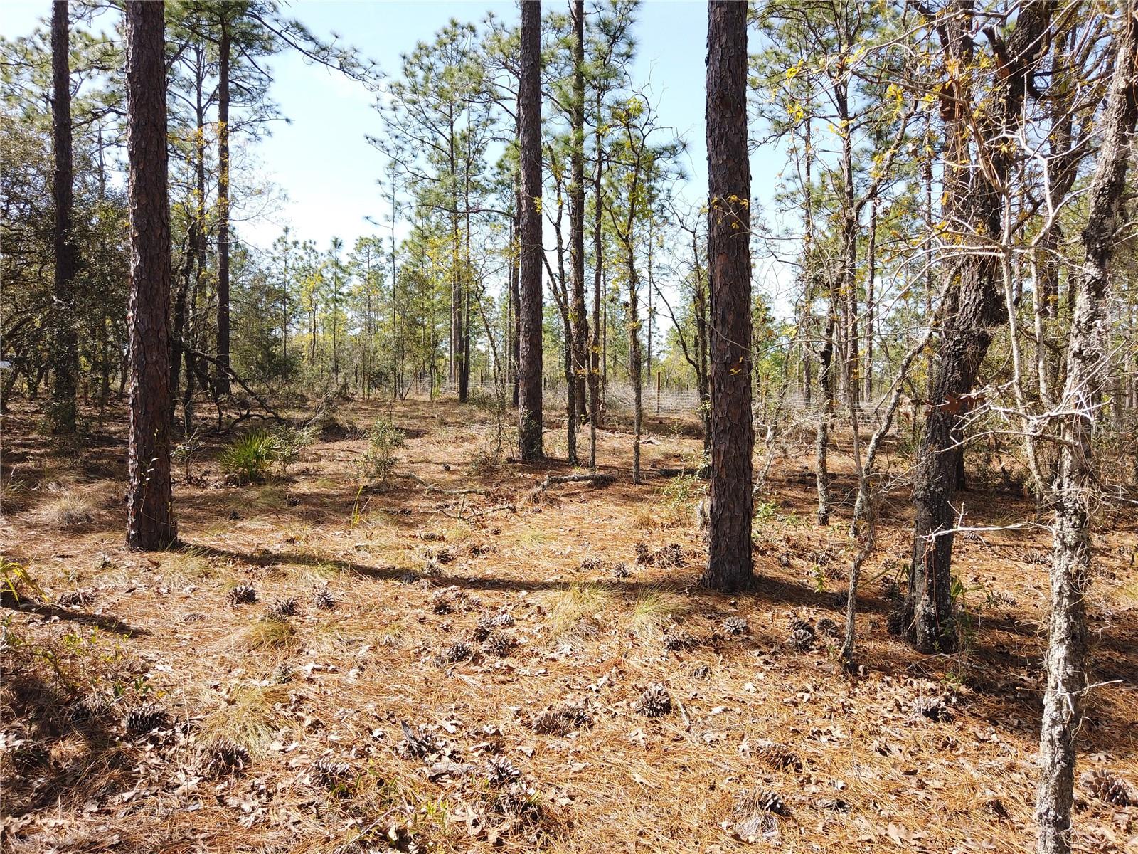 SE 138TH AVE, DUNNELLON, FL, 34431