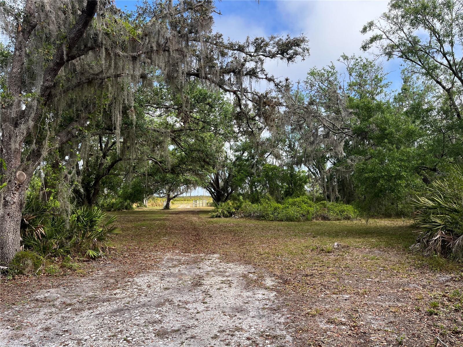 38161 TAYLOR RD, MYAKKA CITY, FL, 34251