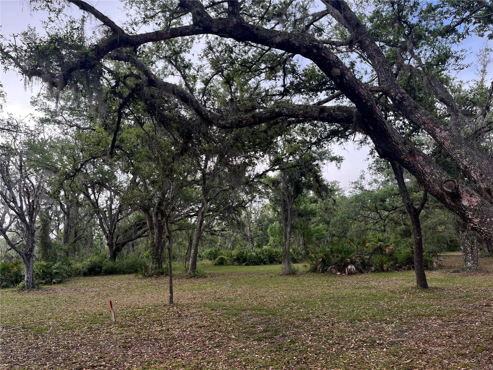 38161 TAYLOR RD, MYAKKA CITY, FL, 34251