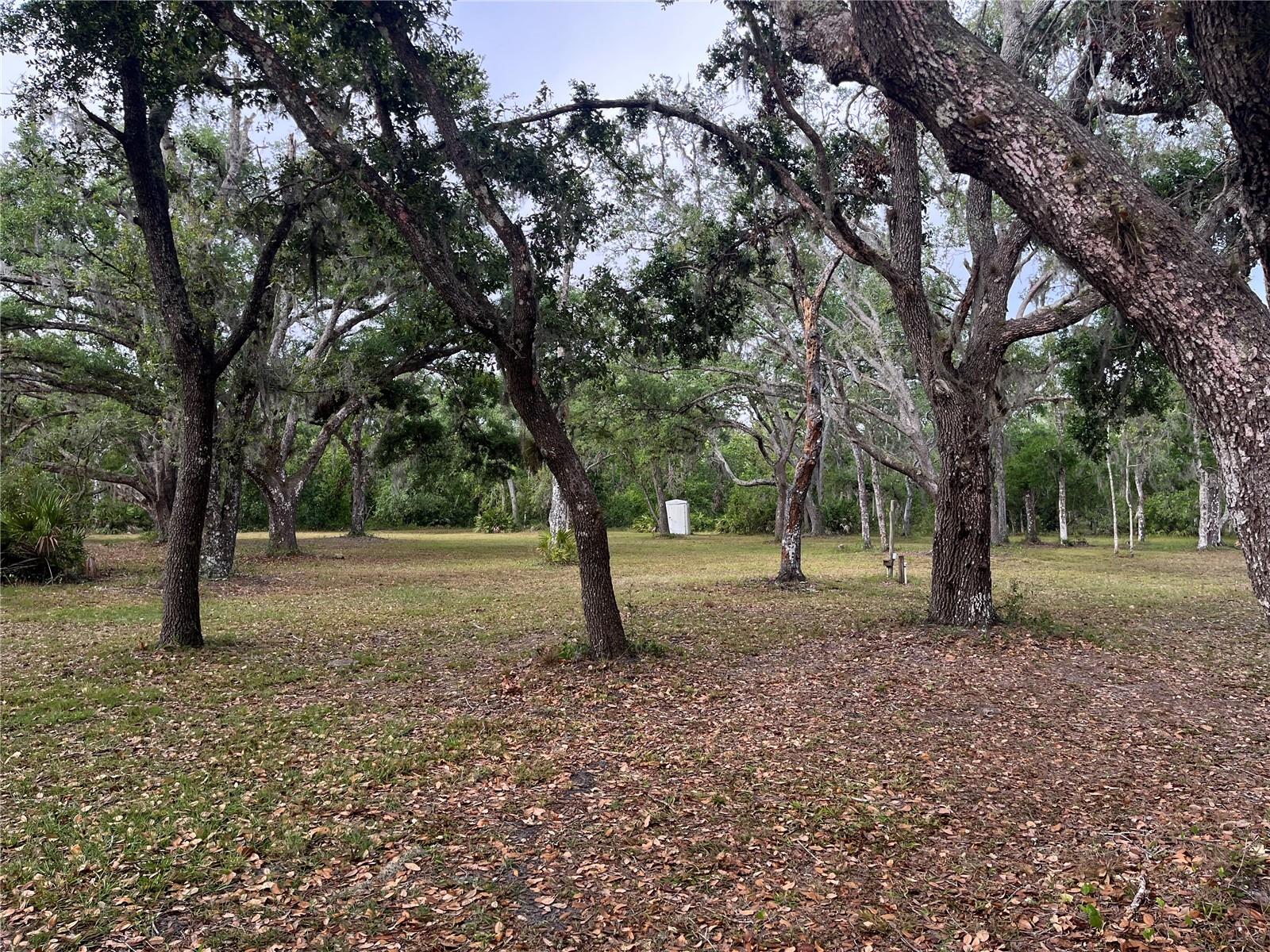 38161 TAYLOR RD, MYAKKA CITY, FL, 34251