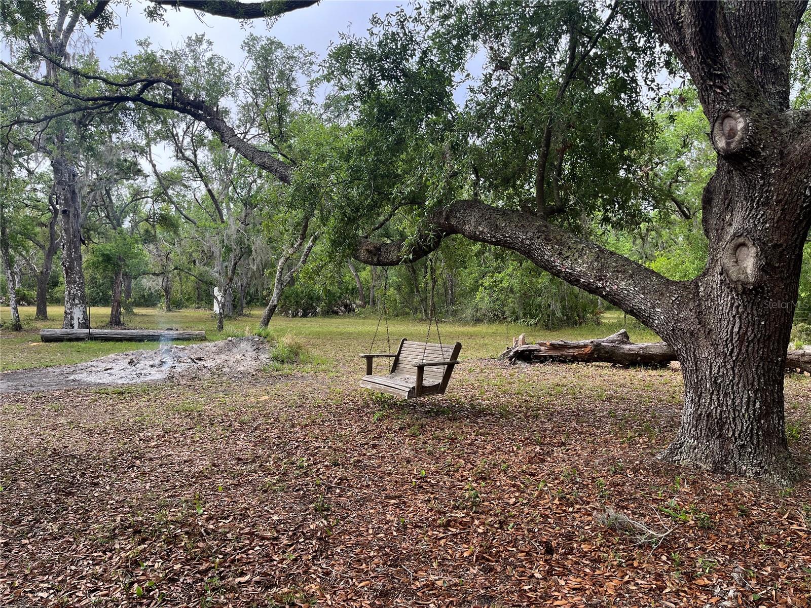 38161 TAYLOR RD, MYAKKA CITY, FL, 34251