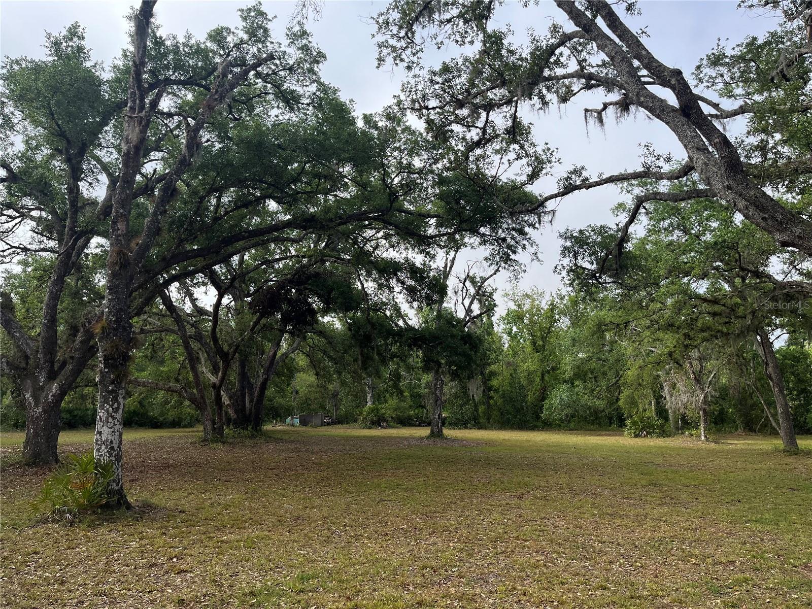 38161 TAYLOR RD, MYAKKA CITY, FL, 34251