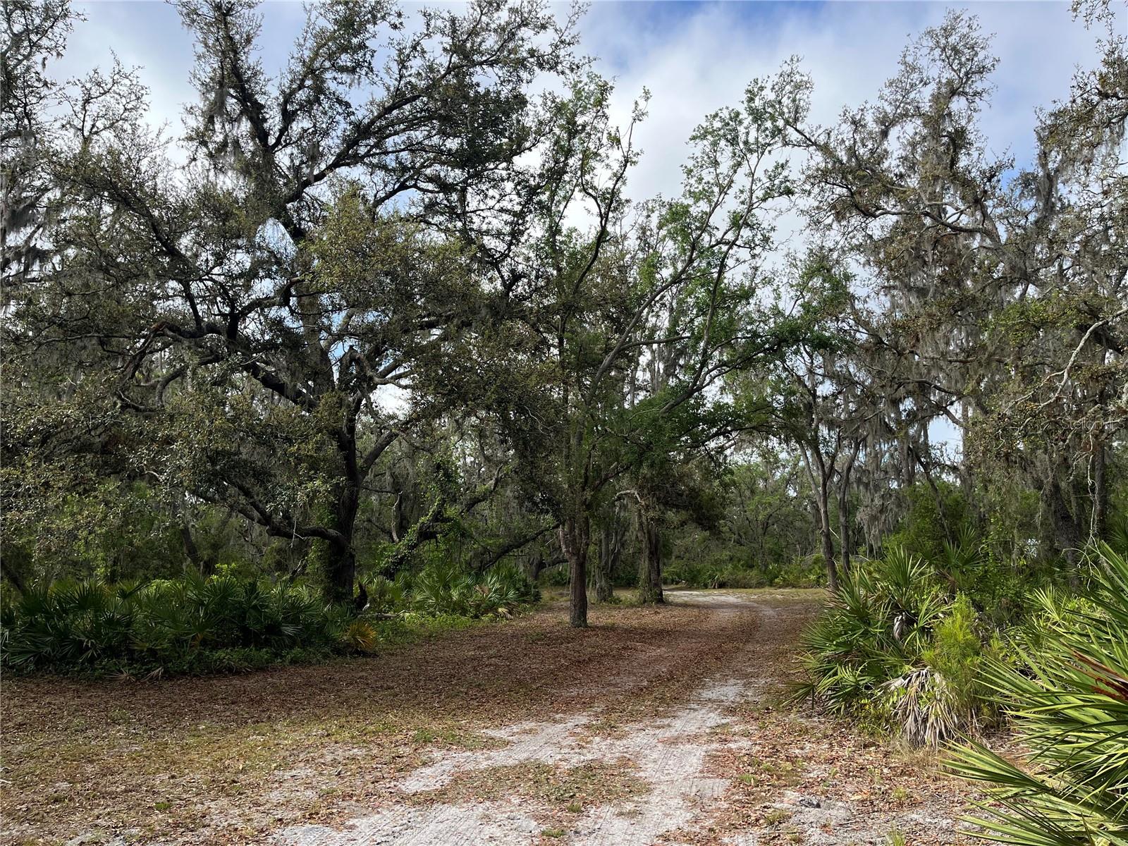 38161 TAYLOR RD, MYAKKA CITY, FL, 34251