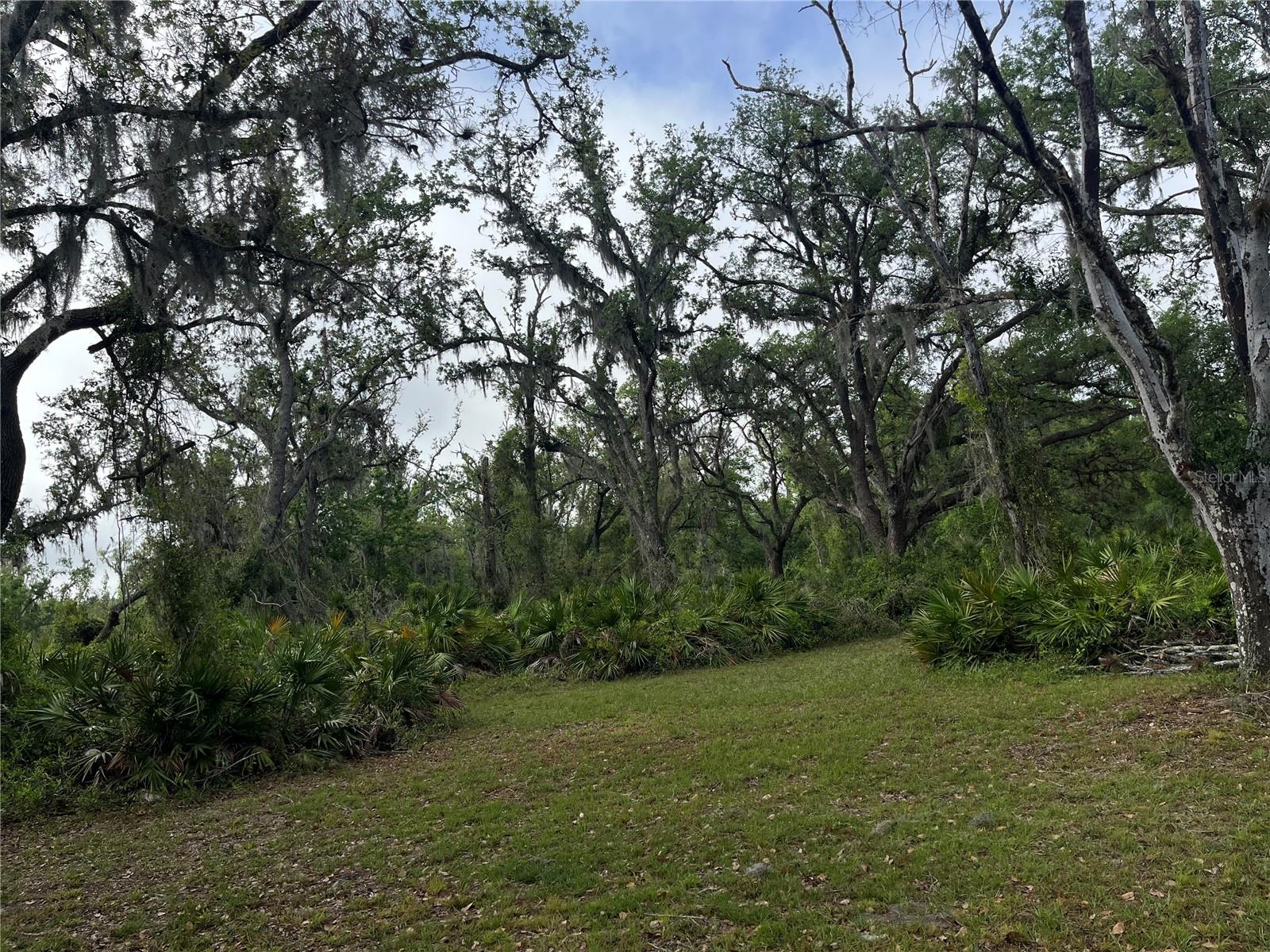 38161 TAYLOR RD, MYAKKA CITY, FL, 34251