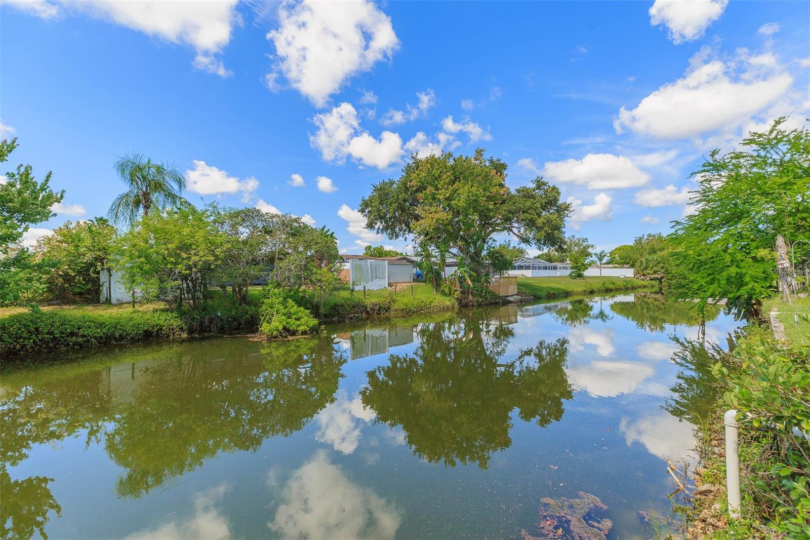 7336 CHERRY LAUREL DR, PORT RICHEY, FL, 34668