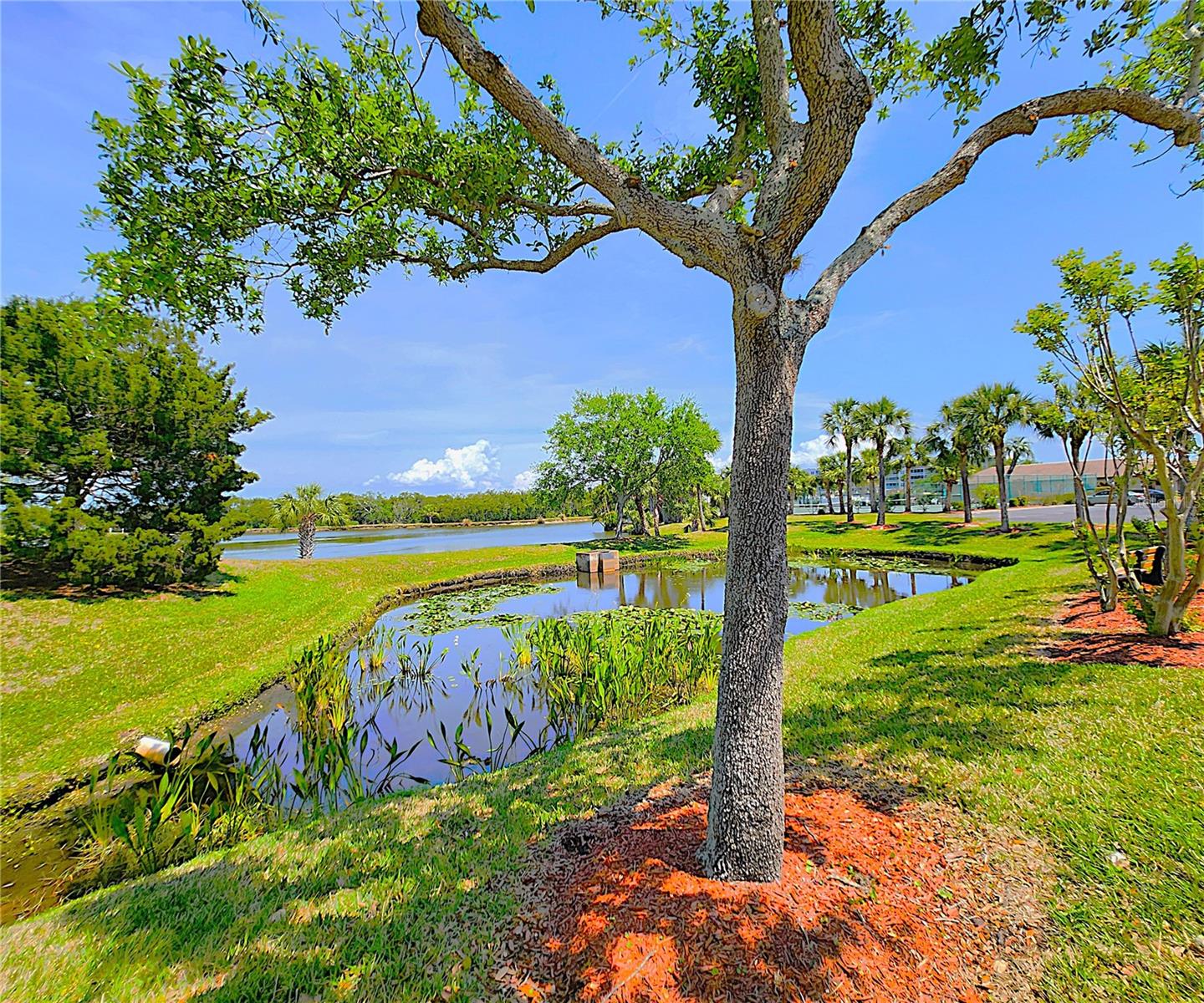 9950 62ND TER N #302, ST PETERSBURG, FL, 33708