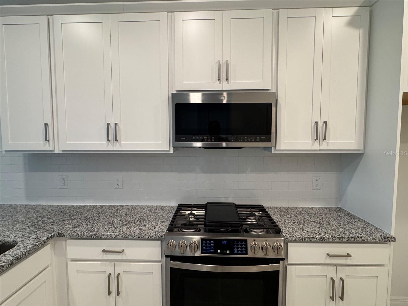 18044 CHERISHED LOOP, BRADENTON, FL, 34211