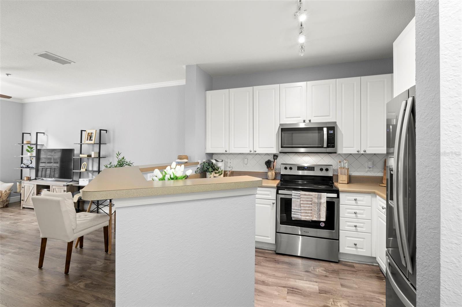 4221 W SPRUCE ST #1229, TAMPA, FL, 33607