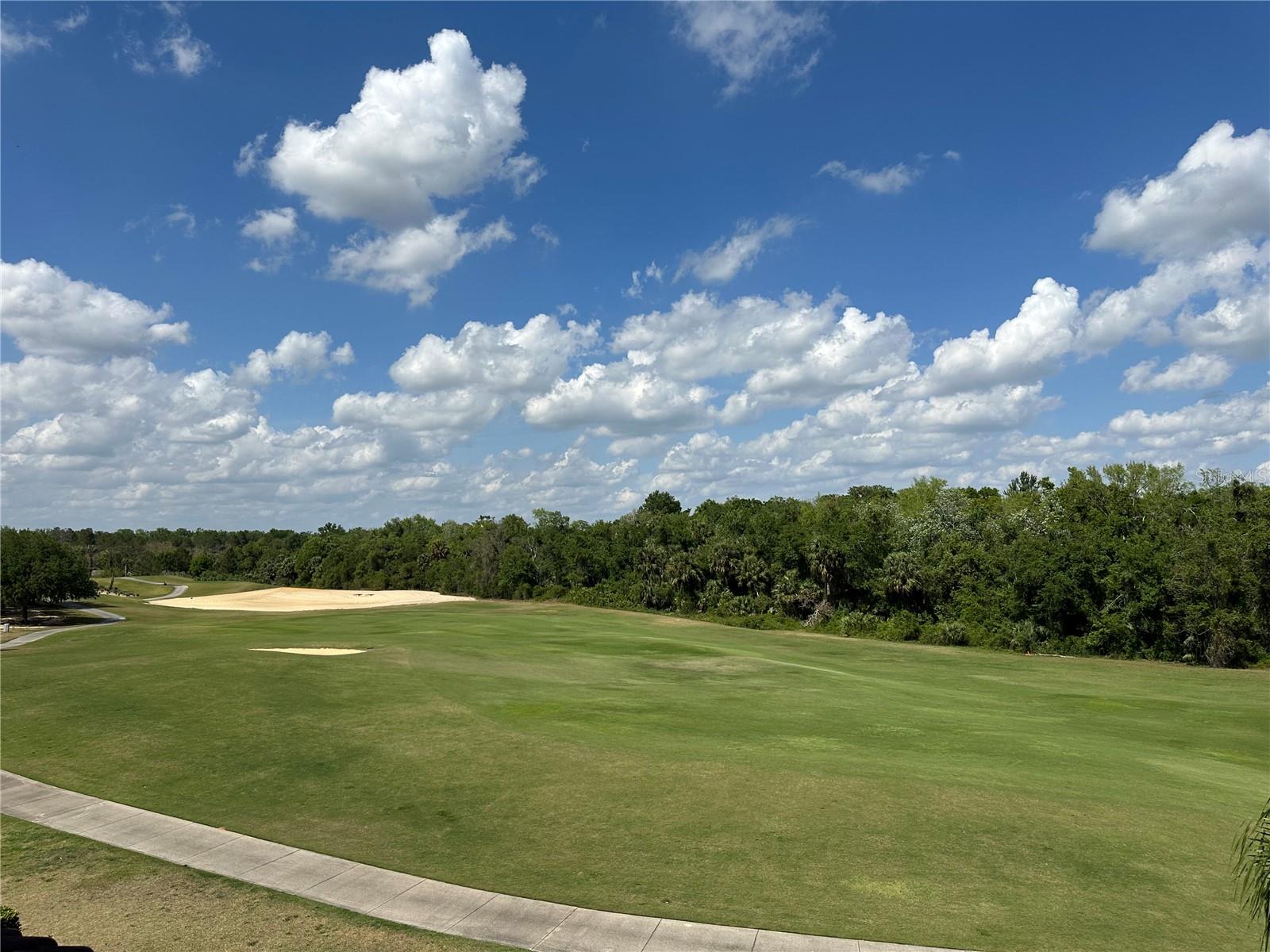 841 DESERT MOUNTAIN CT, REUNION, FL, 34747