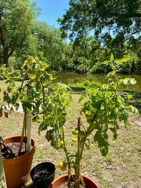 3721 ADELAIDE AVE, NORTH PORT, FL, 34288