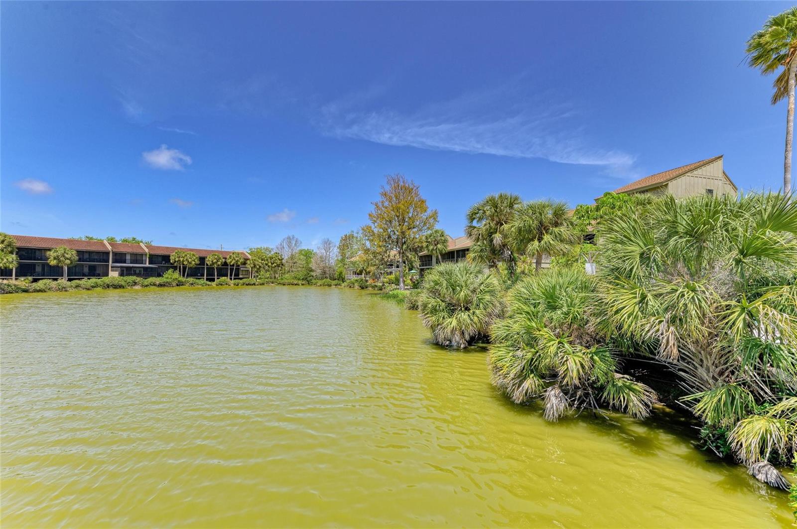 5395 LAKE ARROWHEAD TRL #24, SARASOTA, FL, 34231