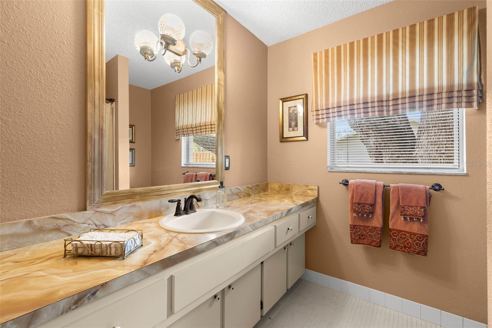 2029 WINDING OAKS DR, PALM HARBOR, FL, 34683