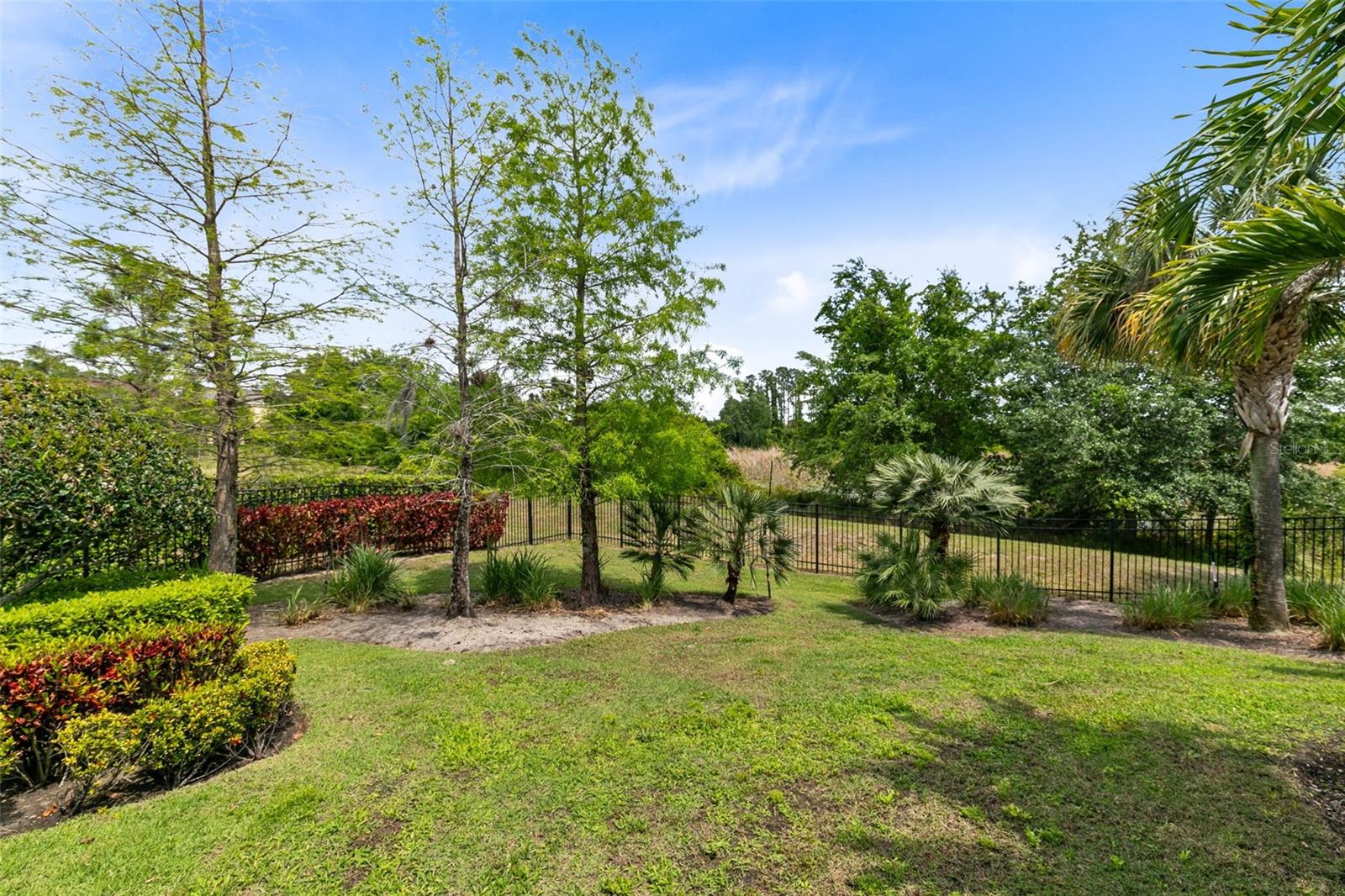 12530 CLIMBING VINE CT, WINDERMERE, FL, 34786