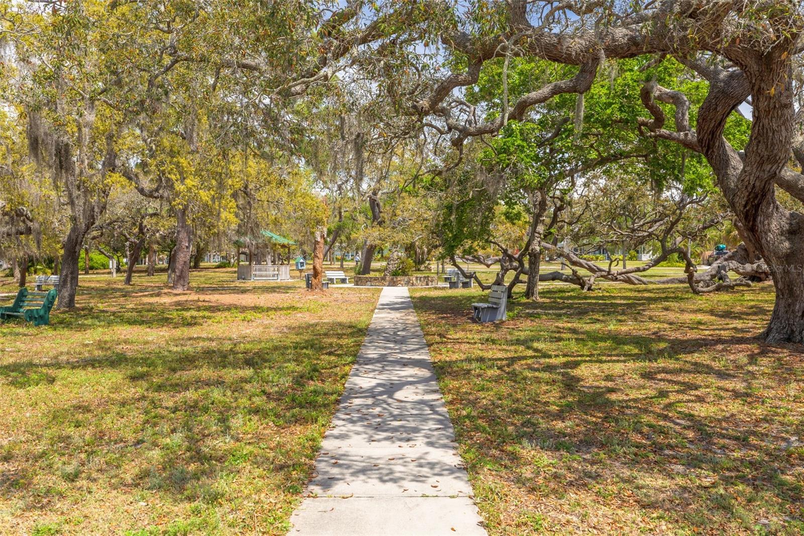 224 ONTARIO AVE, CRYSTAL BEACH, FL, 34681