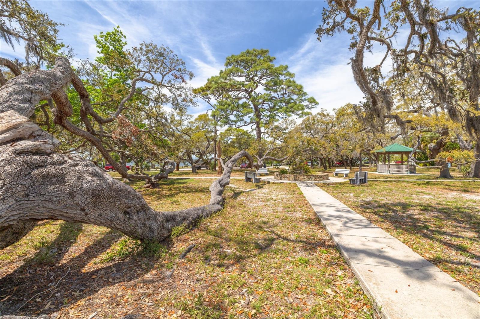 224 ONTARIO AVE, CRYSTAL BEACH, FL, 34681