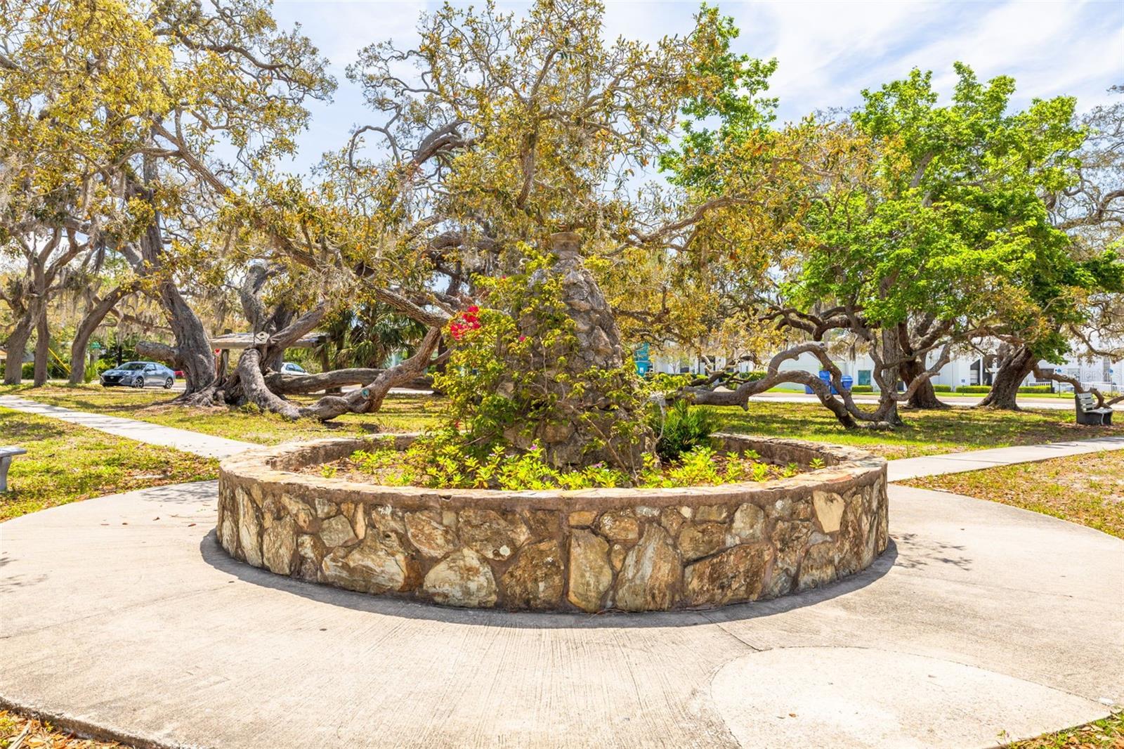 224 ONTARIO AVE, CRYSTAL BEACH, FL, 34681