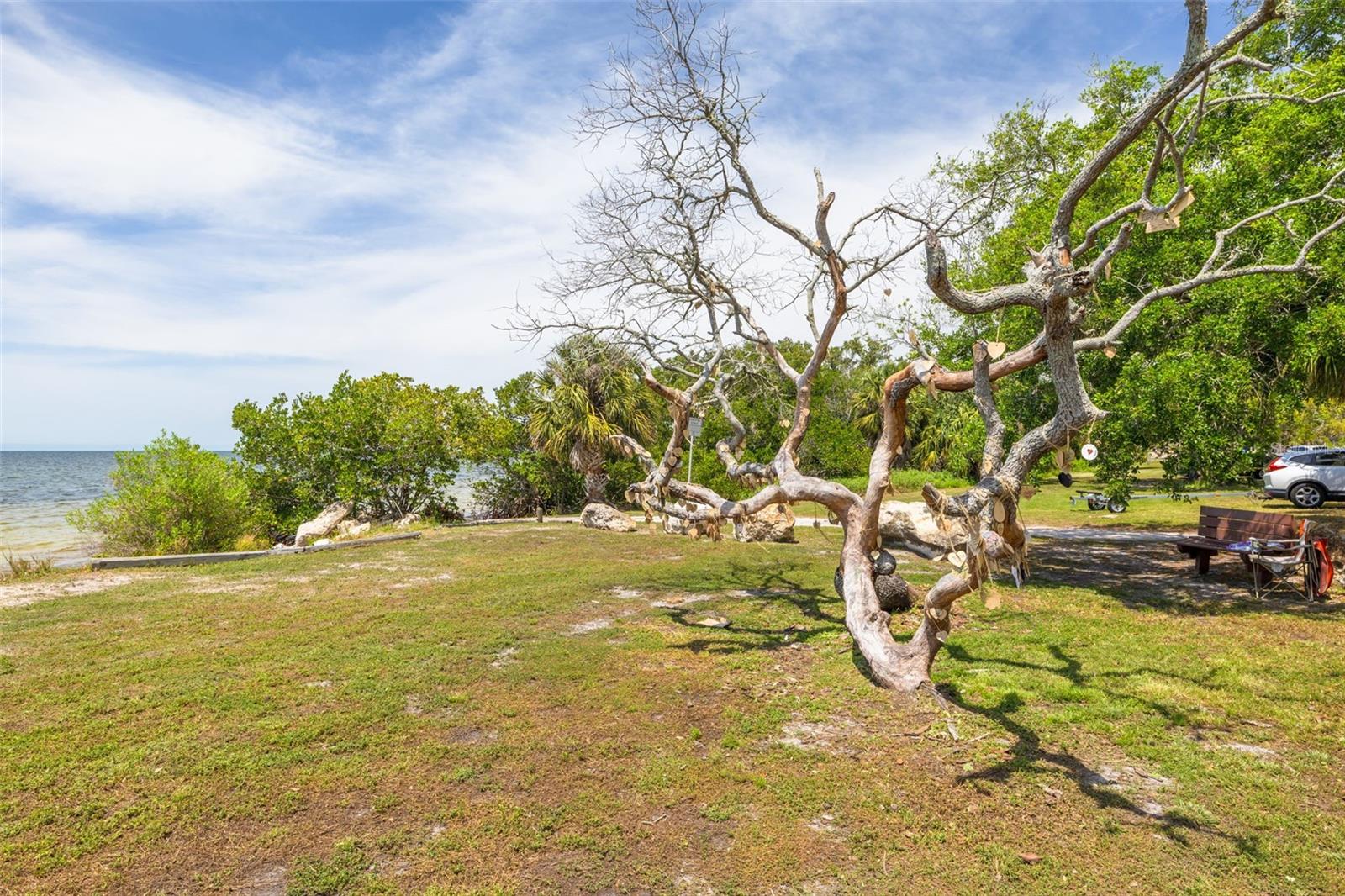 224 ONTARIO AVE, CRYSTAL BEACH, FL, 34681