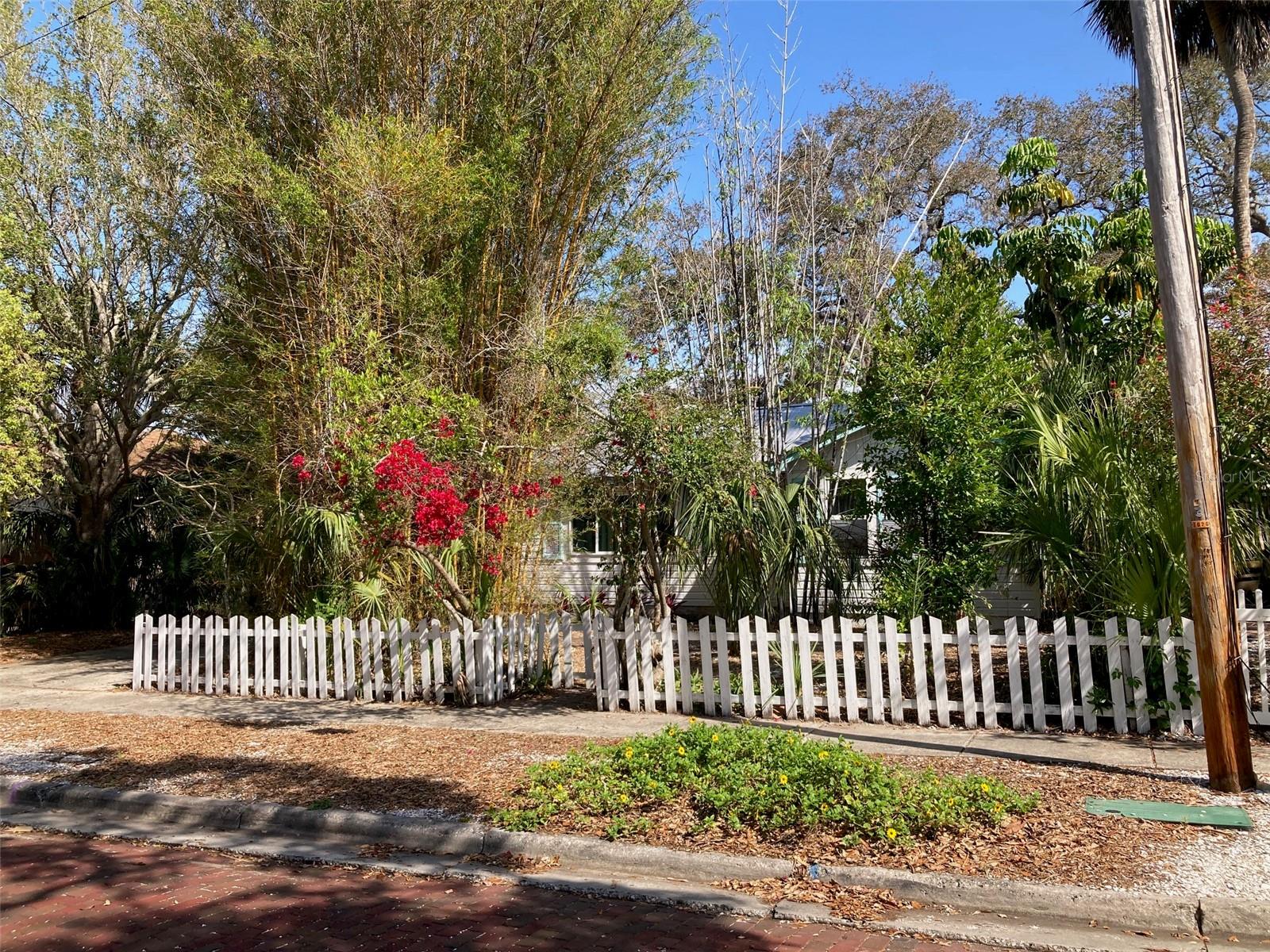 622 WOOD ST, DUNEDIN, FL, 34698