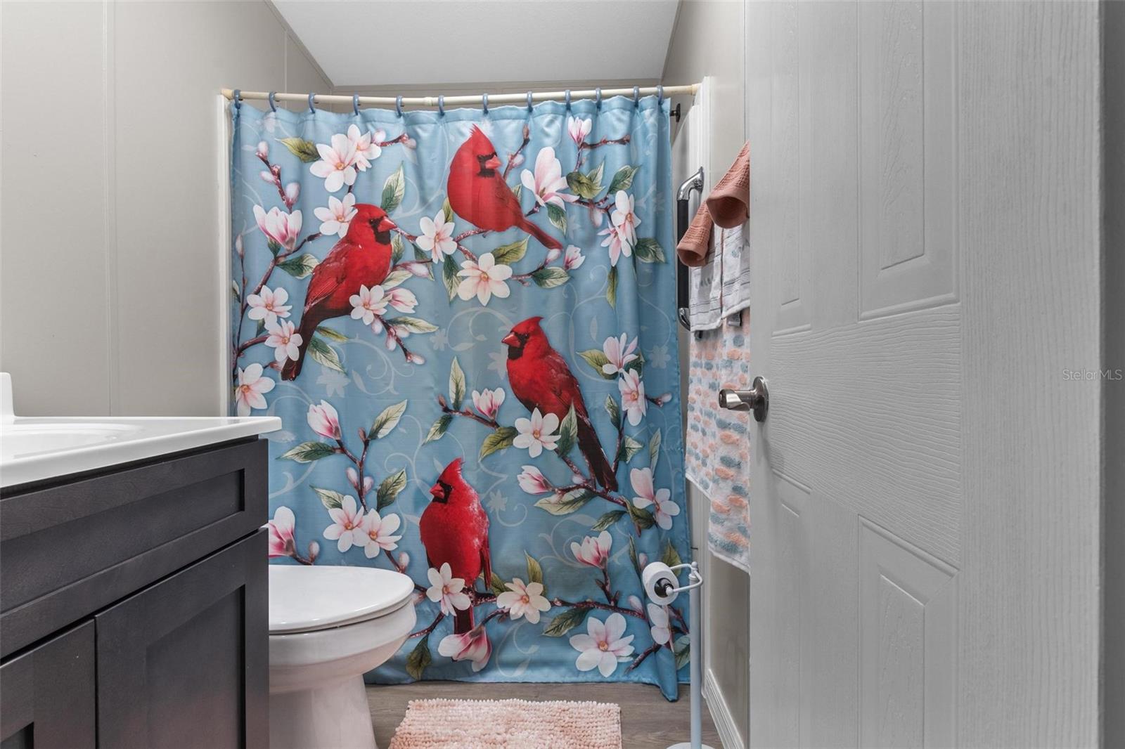 7567 DOVE MEADOW TRL, LAKELAND, FL, 33810