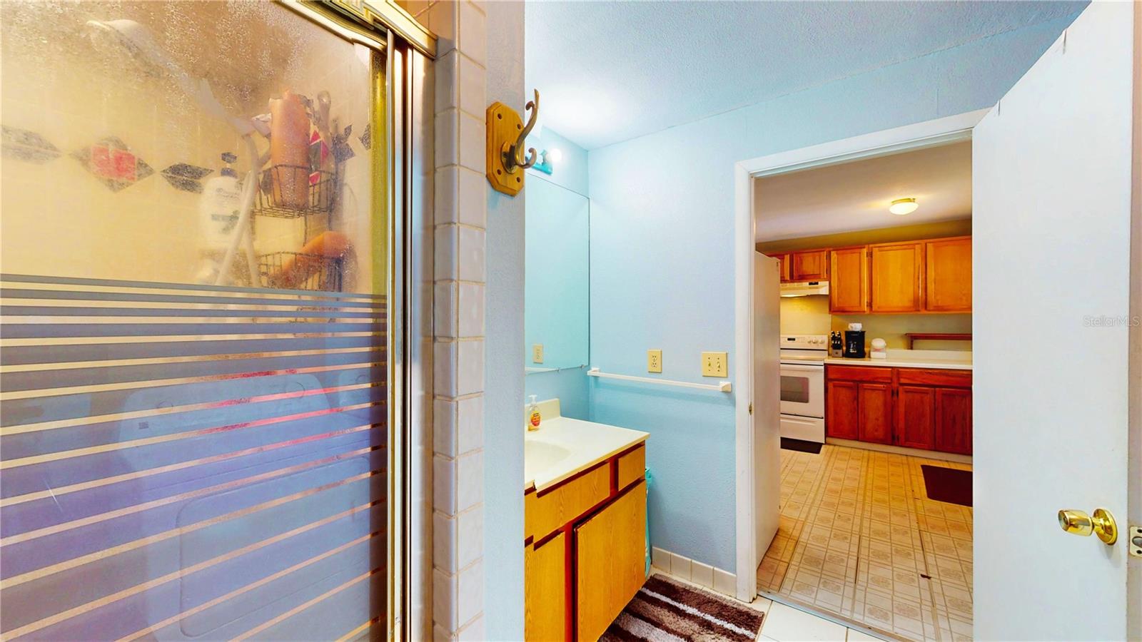 4022 WATSON RD, TAMPA, FL, 33610
