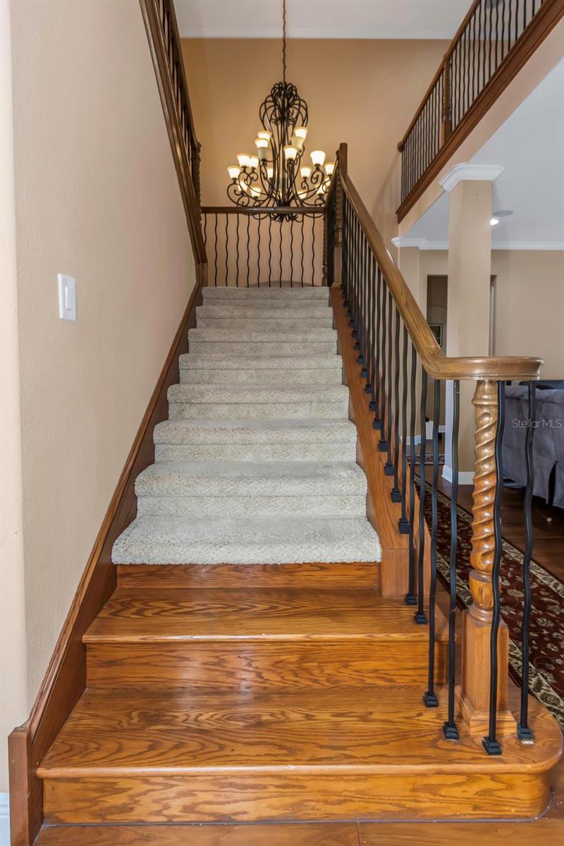 2630 GRAND LAKESIDE DR, PALM HARBOR, FL, 34684