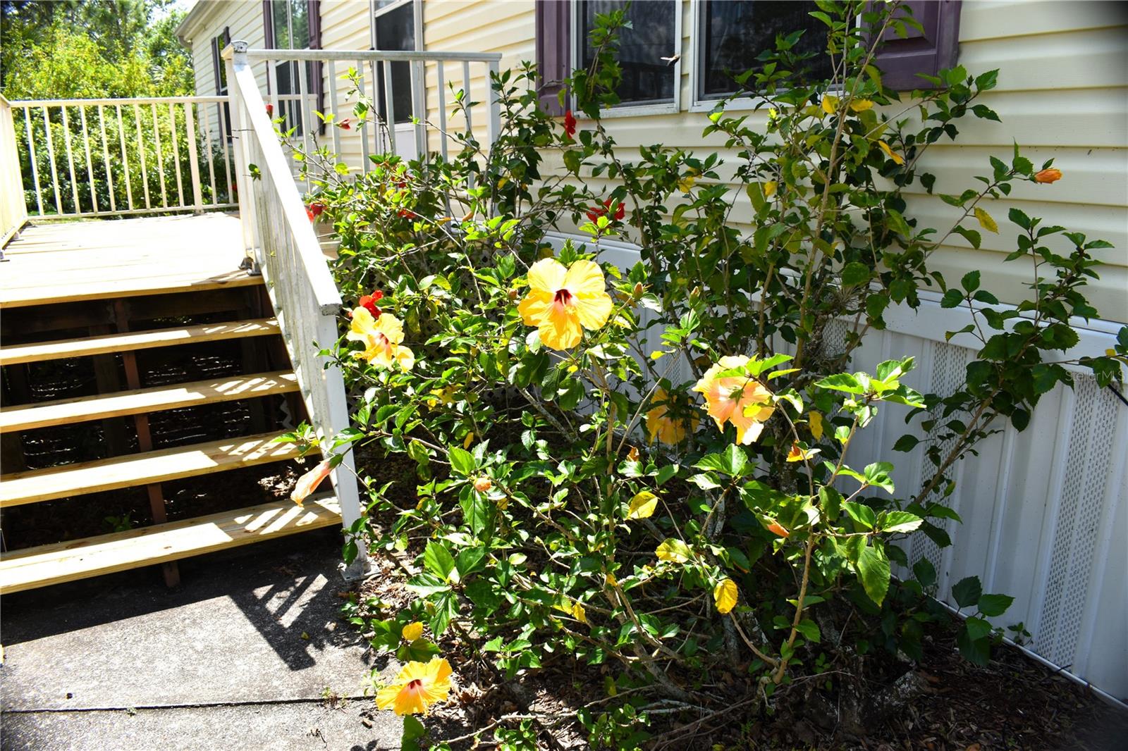 11195 GRAPEFRUIT LN, PUNTA GORDA, FL, 33955