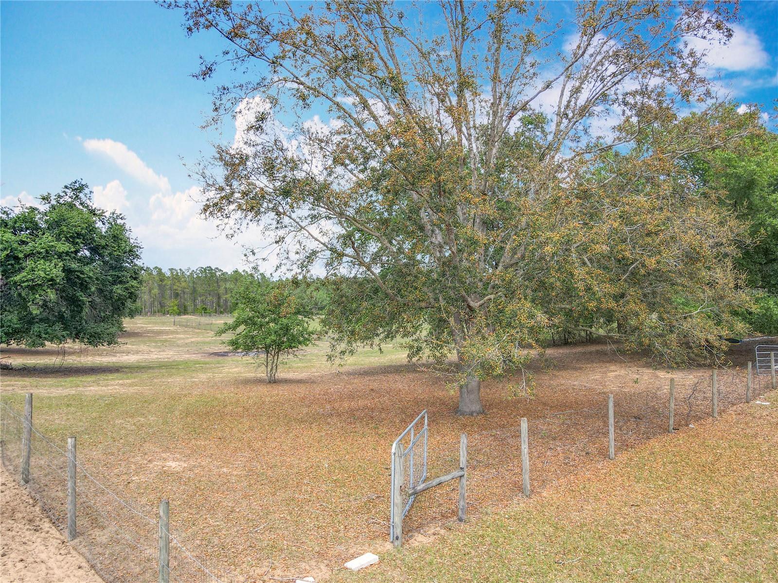 13013 COUNTY ROAD 561A, CLERMONT, FL, 34715