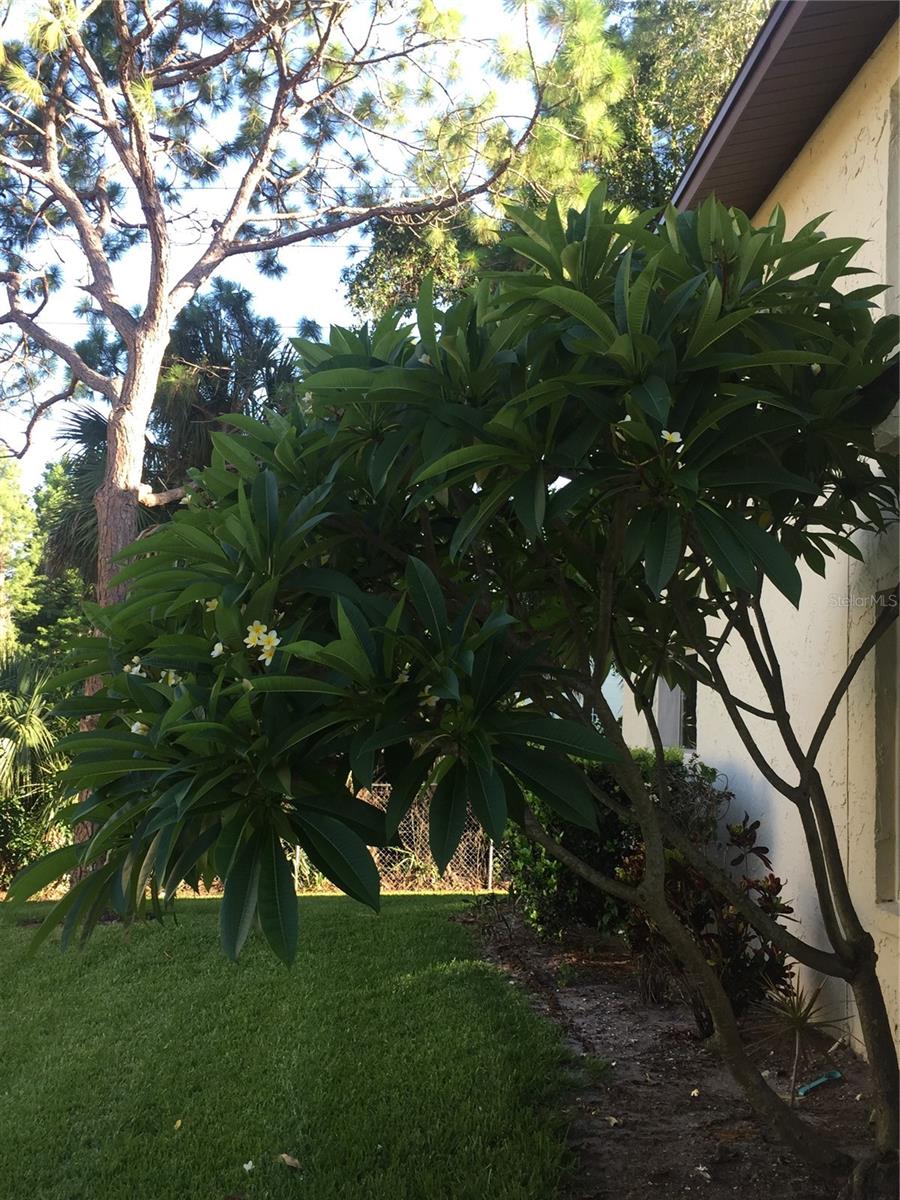 501 EAST BAY DR. #2003, LARGO, FL, 33770